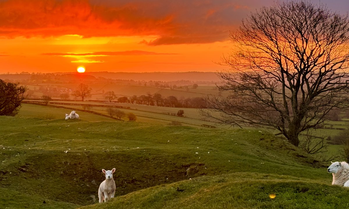 Aneedtopaint's tweet image. After a week of being up in North Yorkshire lovely to be back home on the Shropshire hills. #Shropshire