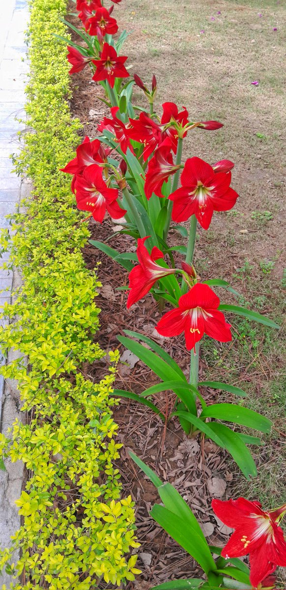 Eco Vibes 🌍 tweet media