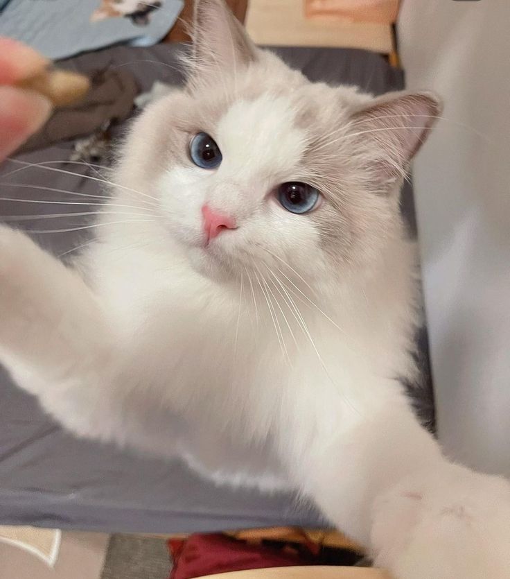 TLE OFFICIAL FANCLUB tweet media