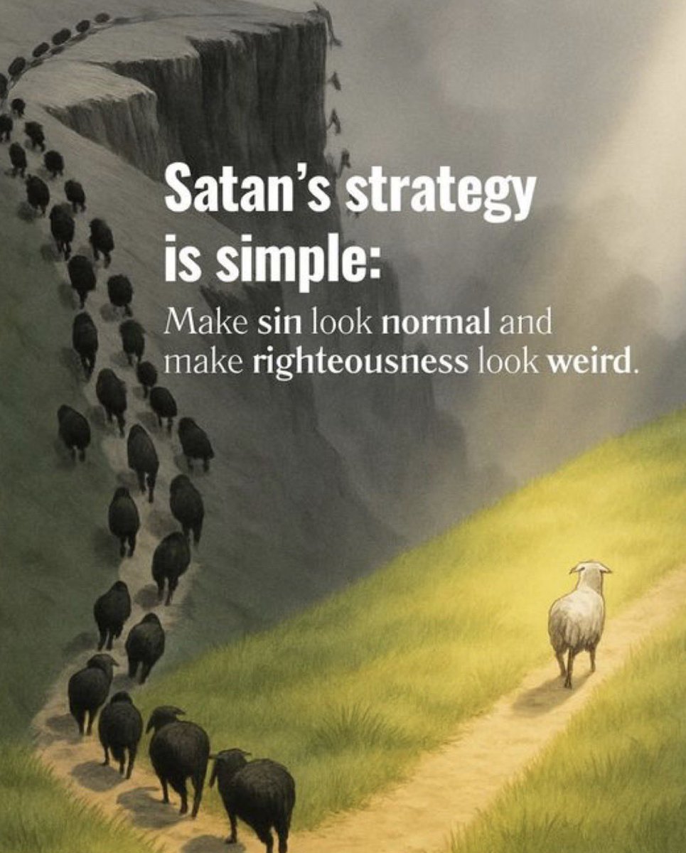 🌷 LIZZIE🌷 tweet media