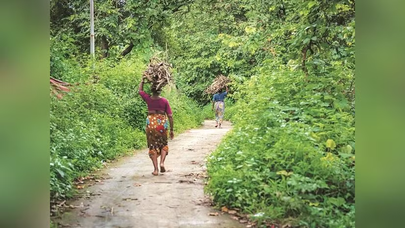 bsindia's tweet image. The CAG has uncovered massive irregularities in Odisha's land transfers, revealing that SC/ST-owned land was illegally diverted to others through flawed oversight and safeguard violations.

Details: mybs.in/2g5Qp6w

#CAG #SC #ST #LandTransfer #Odisha