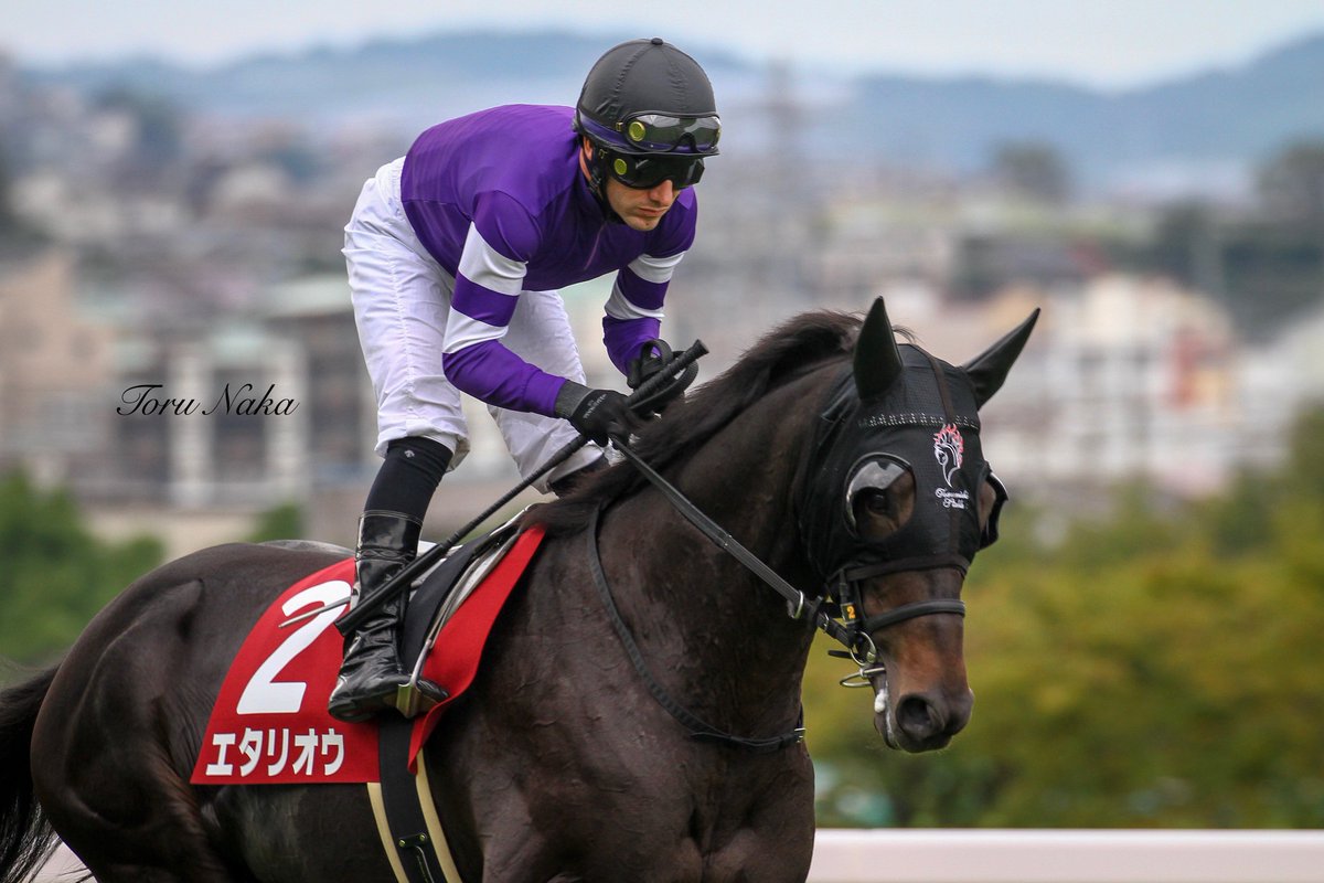 2018.09.23 #神戸新聞杯
#エタリオウ