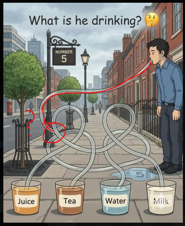 // HASUKE tweet media