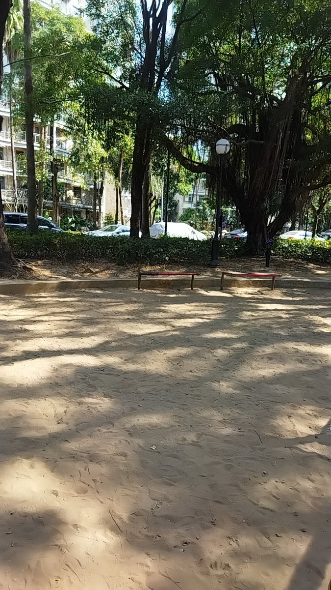 entrk_senturk's tweet image. Autumn breeze u0026 golden leaves—perfect for a walk with a warm latte  #FallVibes