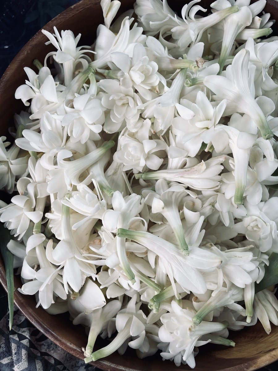 trois (rest) tweet media