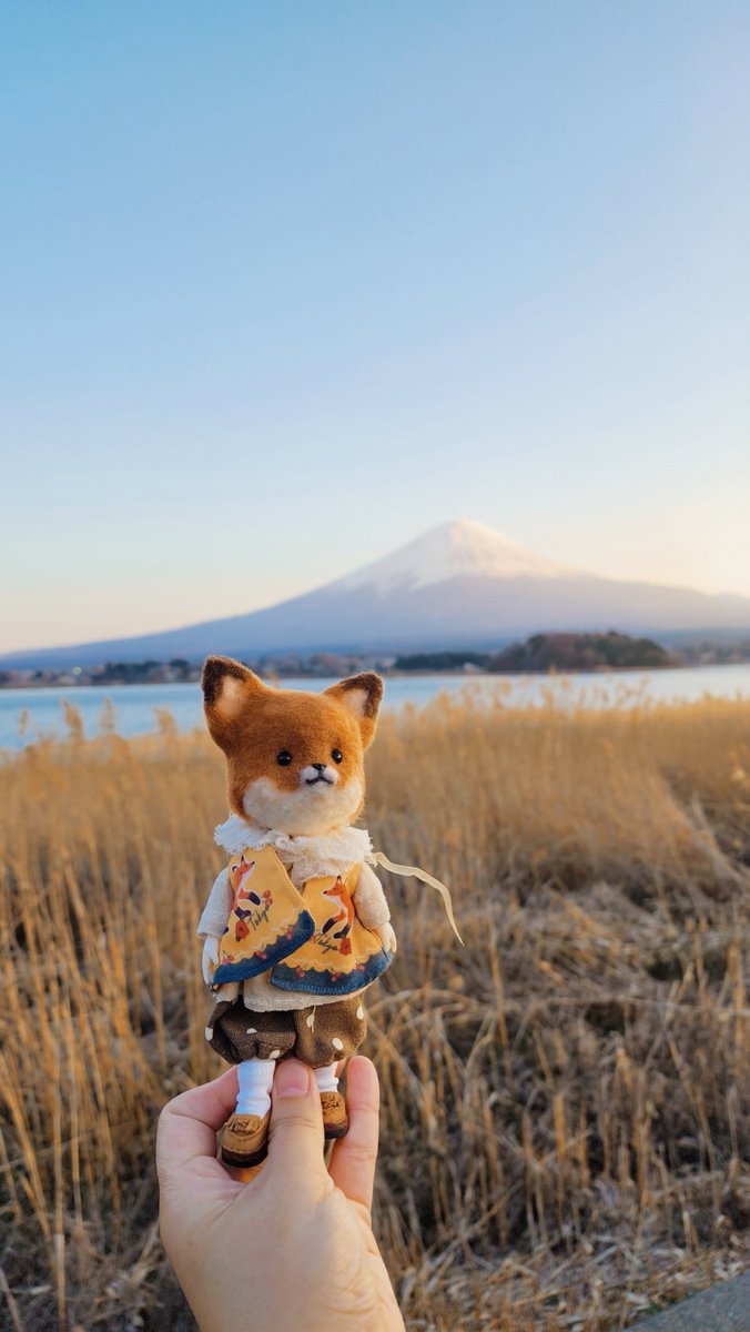 🦊Little it zoo doll❤️ tweet media