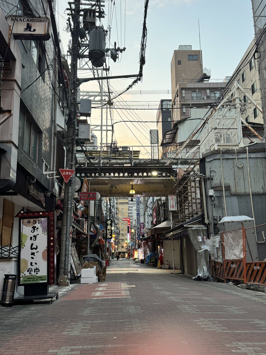 Kenji Ozawa/STUDIO SASANQUA Inc. tweet media