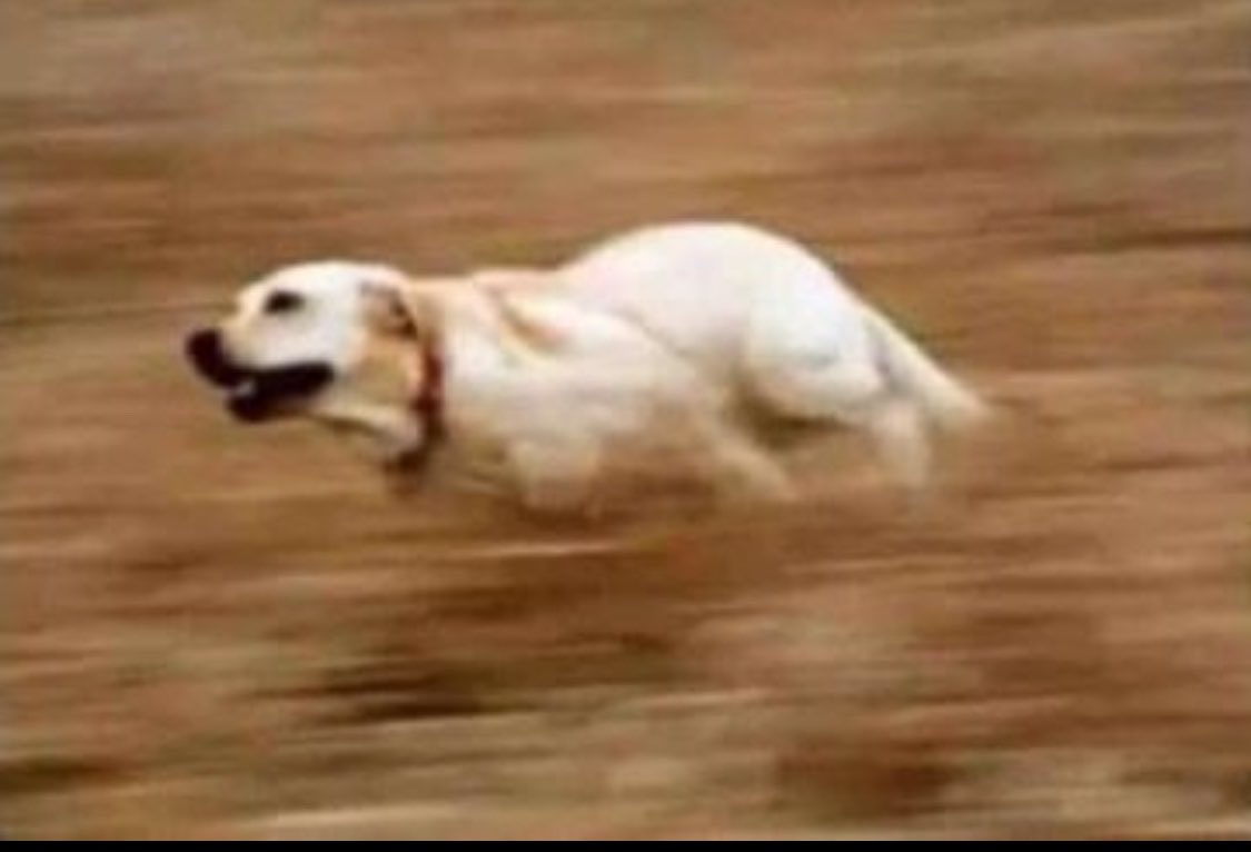 Cool Joe🇳🇦 tweet media