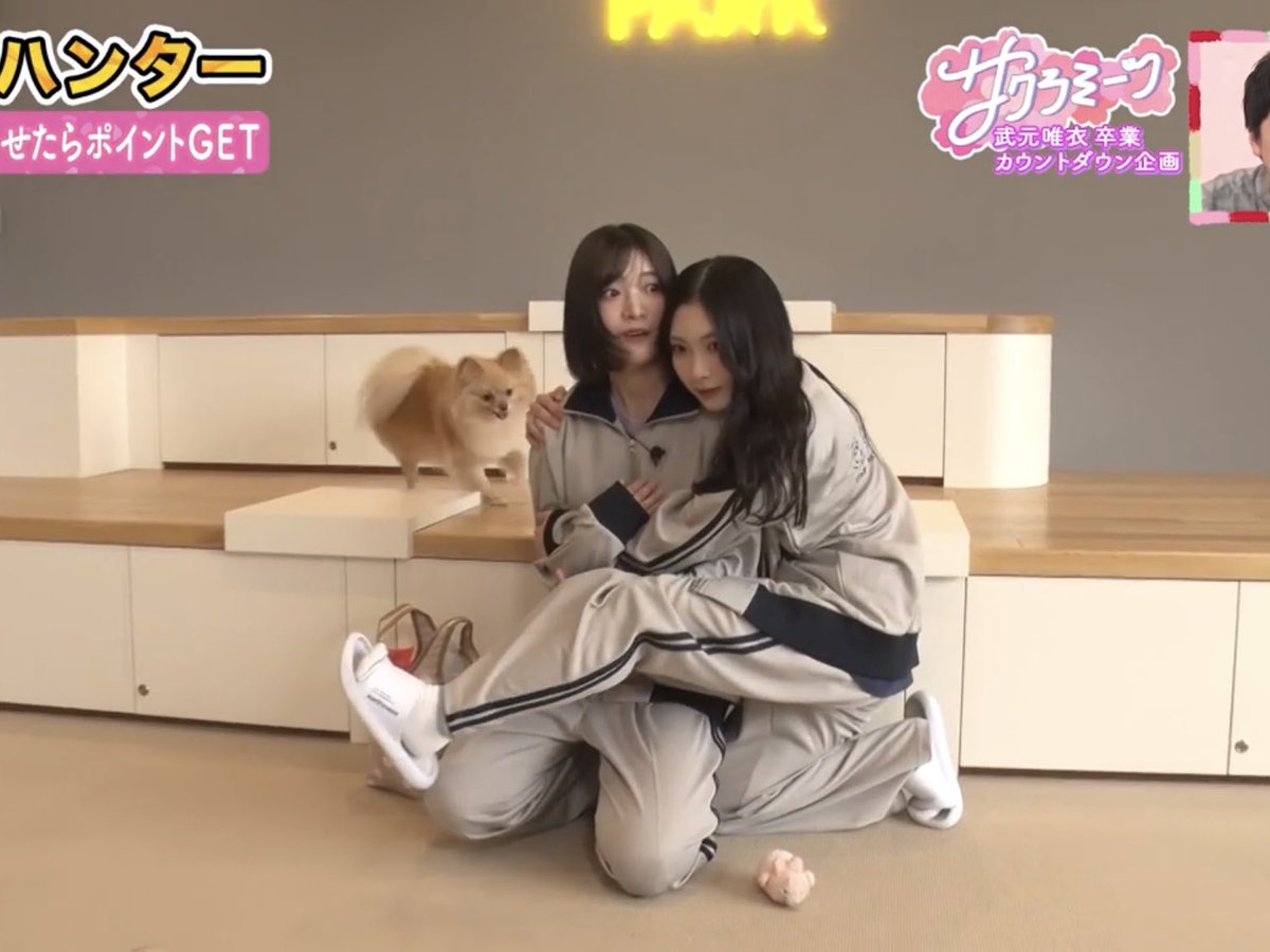 ｽ ｽﾞﾊ tweet media