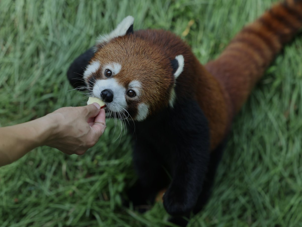 bara@リーファ大好き🥰 tweet media