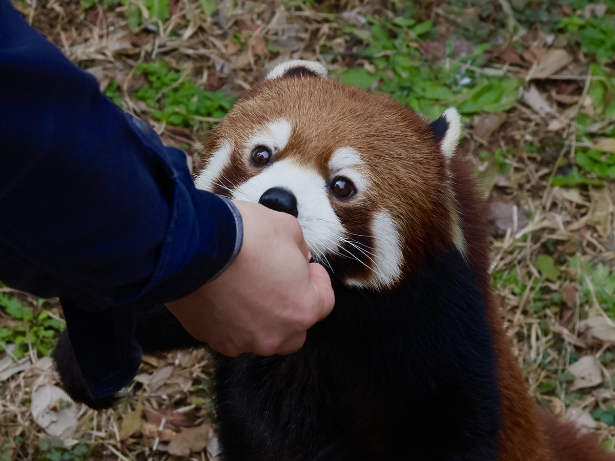 bara@リーファ大好き🥰 tweet media