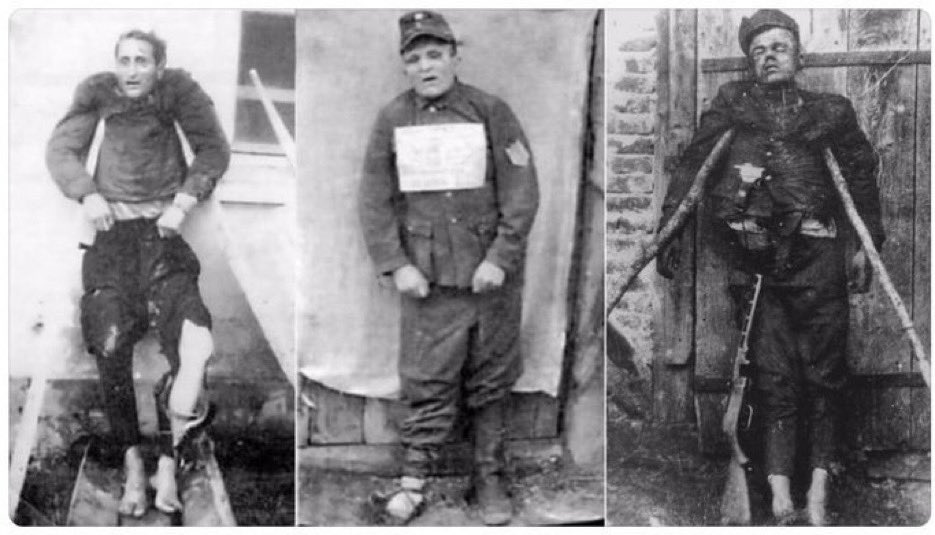 Репатриант 🇺🇸 ➡️ 🇷🇺 tweet media