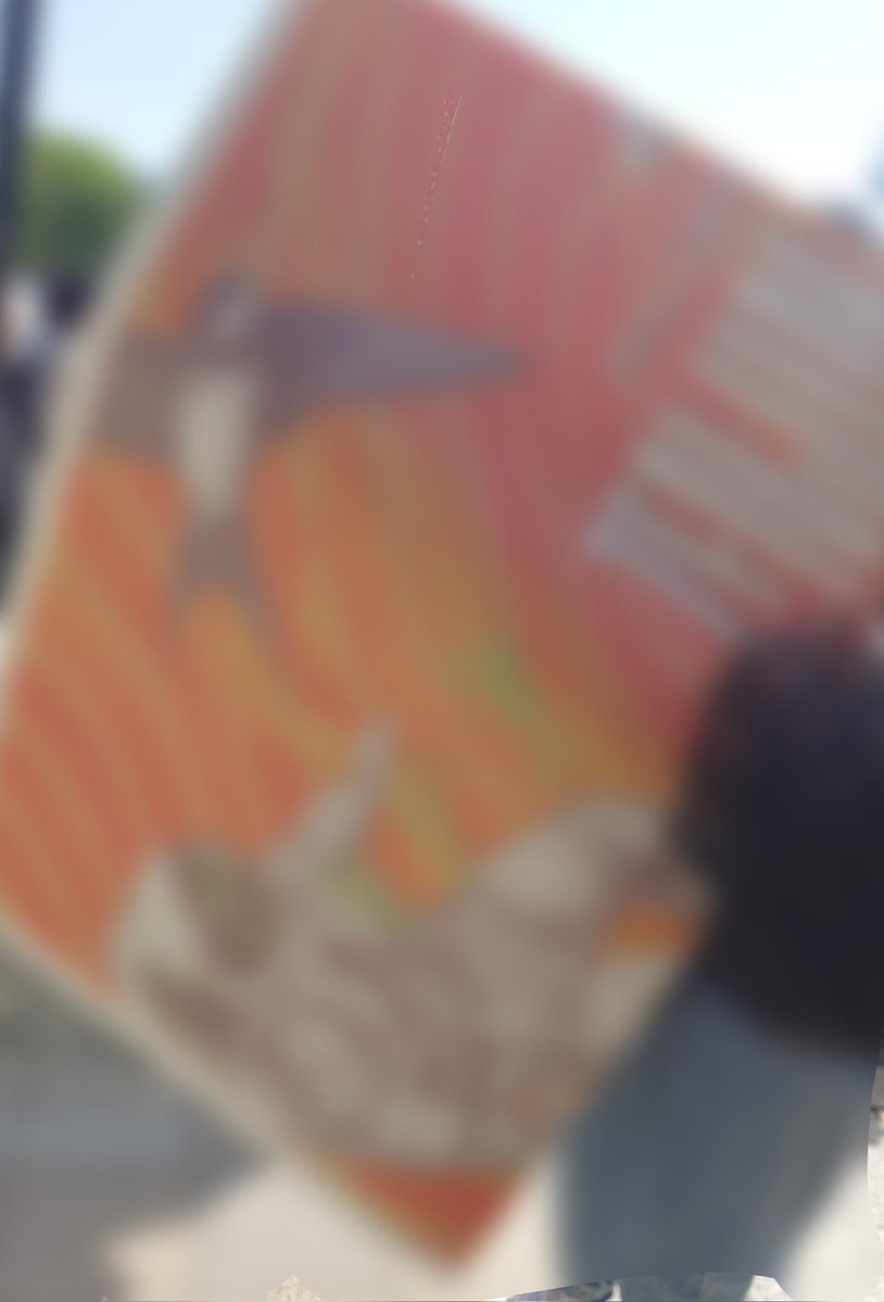 健康なアザラシ(´ω` っ)З🍏 tweet media