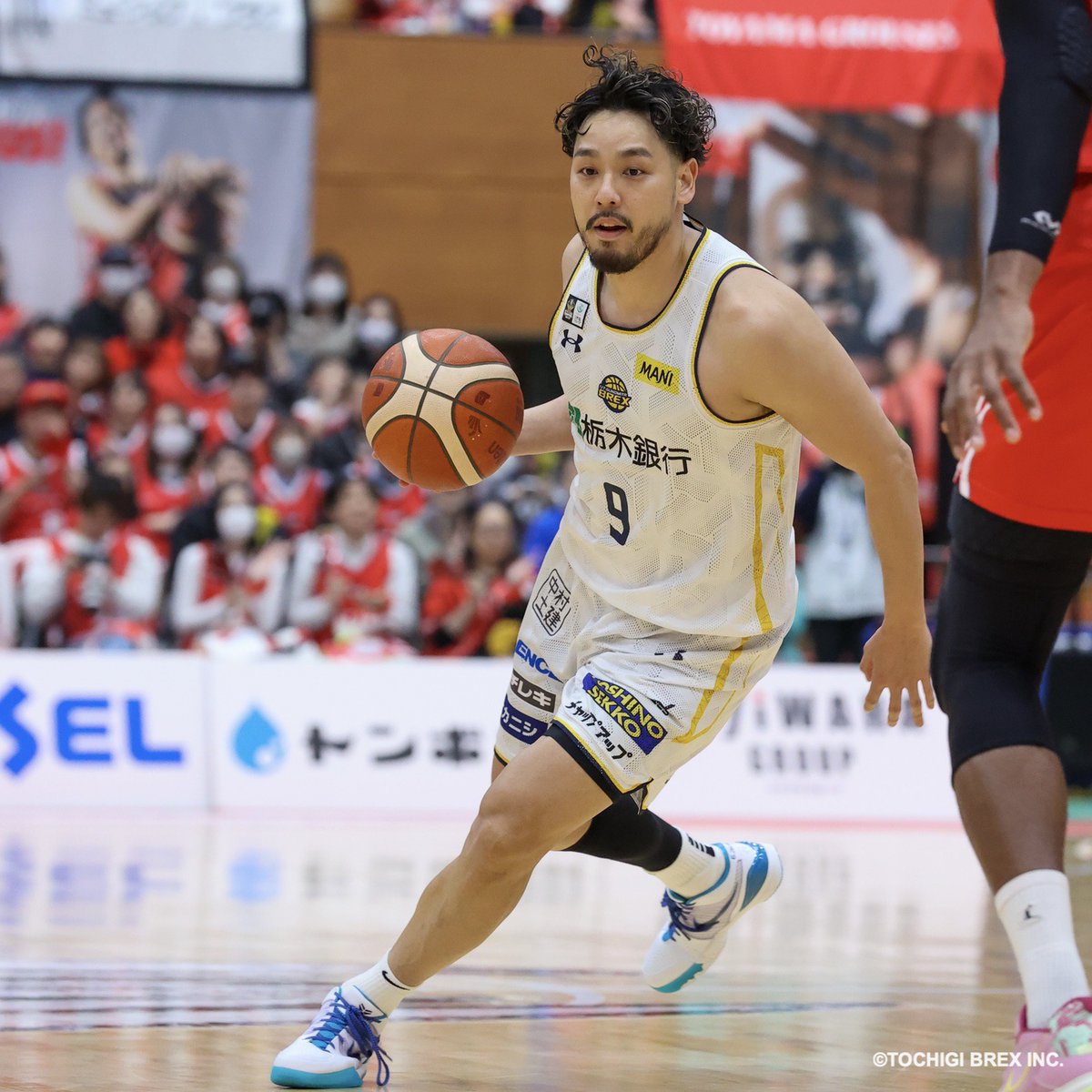 宇都宮ブレックス / UTSUNOMIYA BREX tweet media