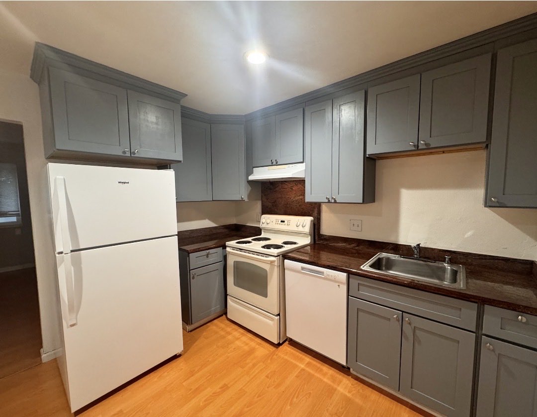 👽麻吉de宇宙树洞🐻🪧🍯🛸 tweet media