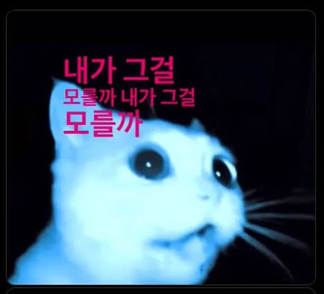 더바속 tweet media