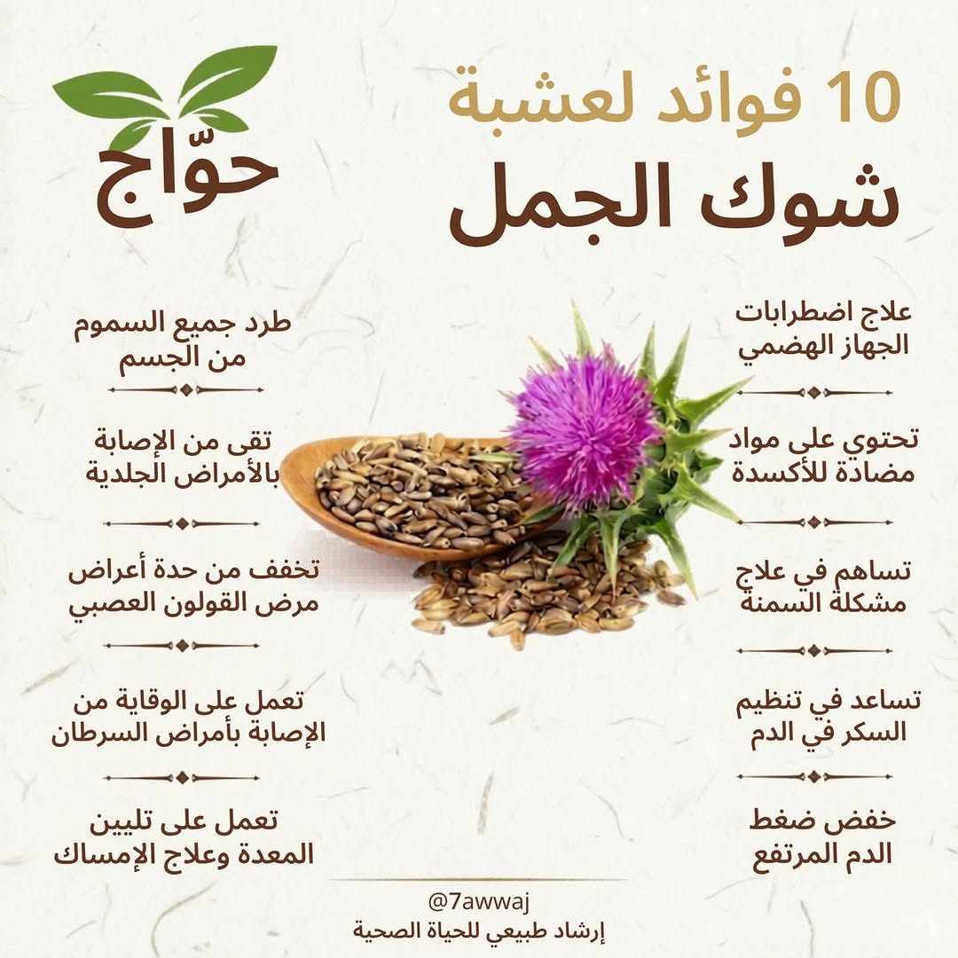 غيوم ممطرة tweet media