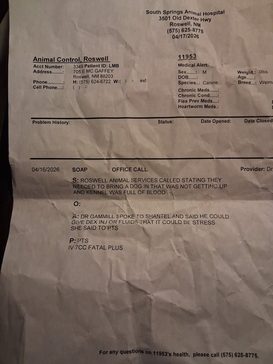 GypsyWolf tweet media