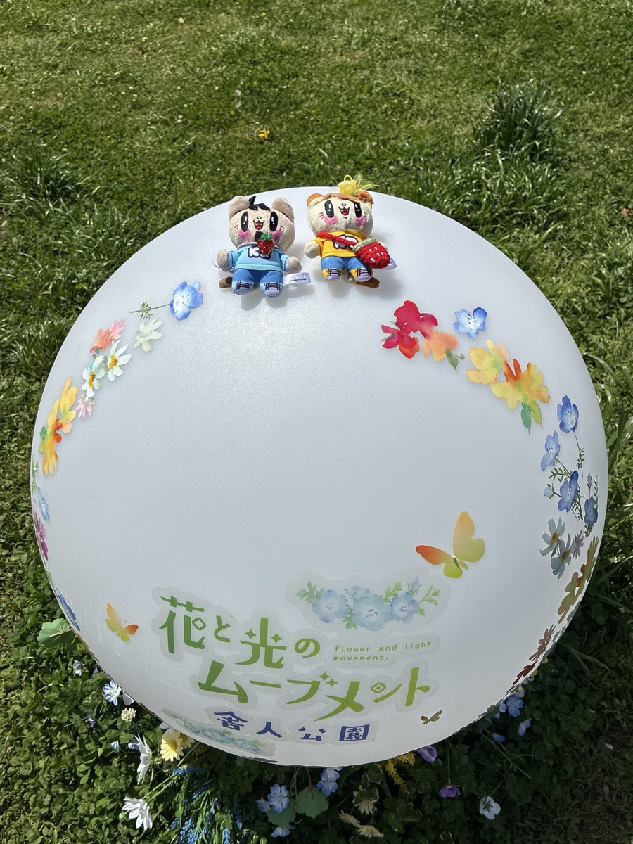 すーちゃん tweet media