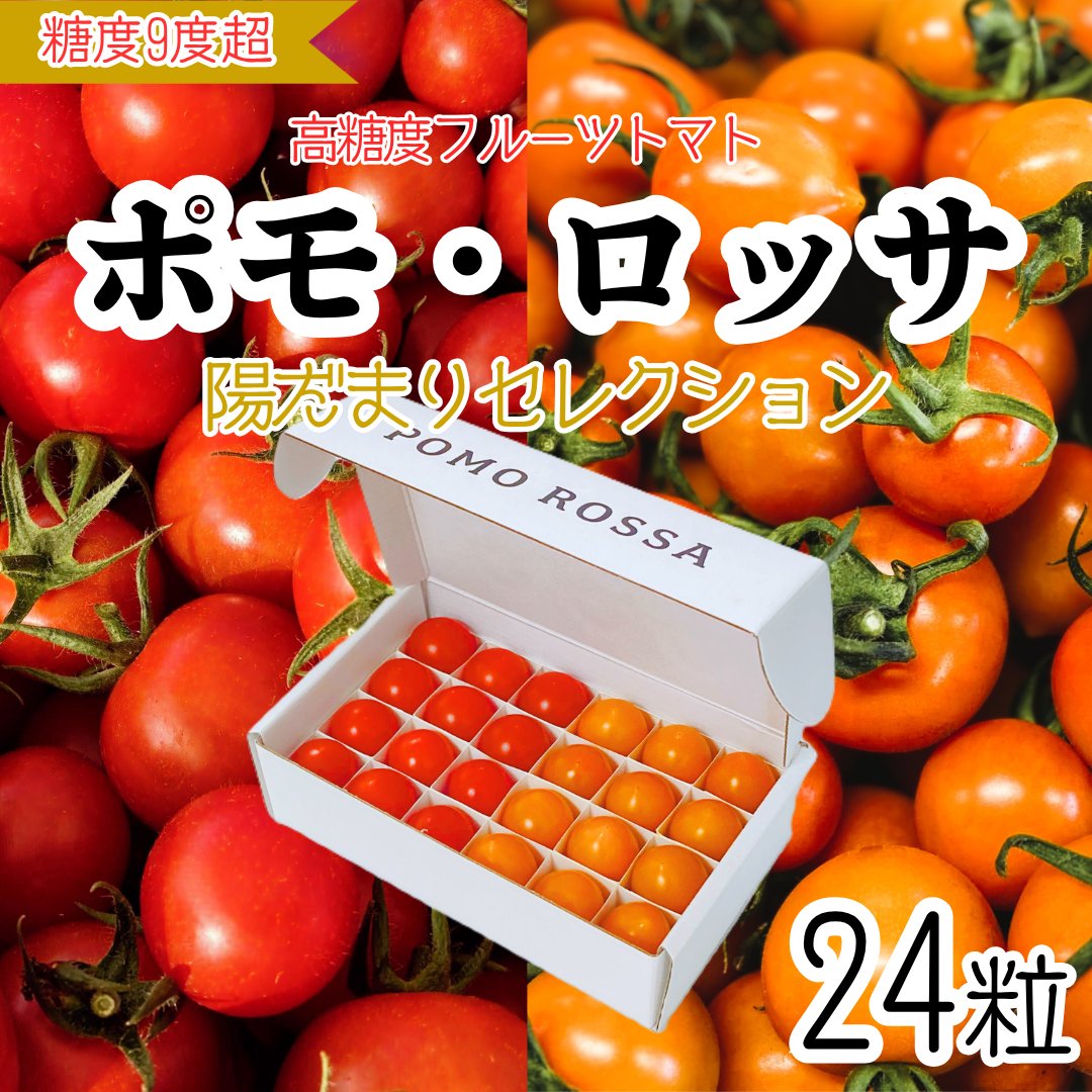 MASA11831's tweet photo. 見た目も、味も、ちょっと特別。
赤とオレンジとセットにした「陽だまりセレクション」
数量限定で販売開始しました。

👉オレンジは直売のみで販売していた希少品種
👉赤とは違う、さわやかな酸味

希少品種のため、数量限定です。

母の日ギフトにおすすめ。
感謝を、やさしい美味しさで。

気になったらクリック👇
https://t.co/0BN5WXpvj3

#母の日 #ギフト #お取り寄せ #ポモロッサ #産直