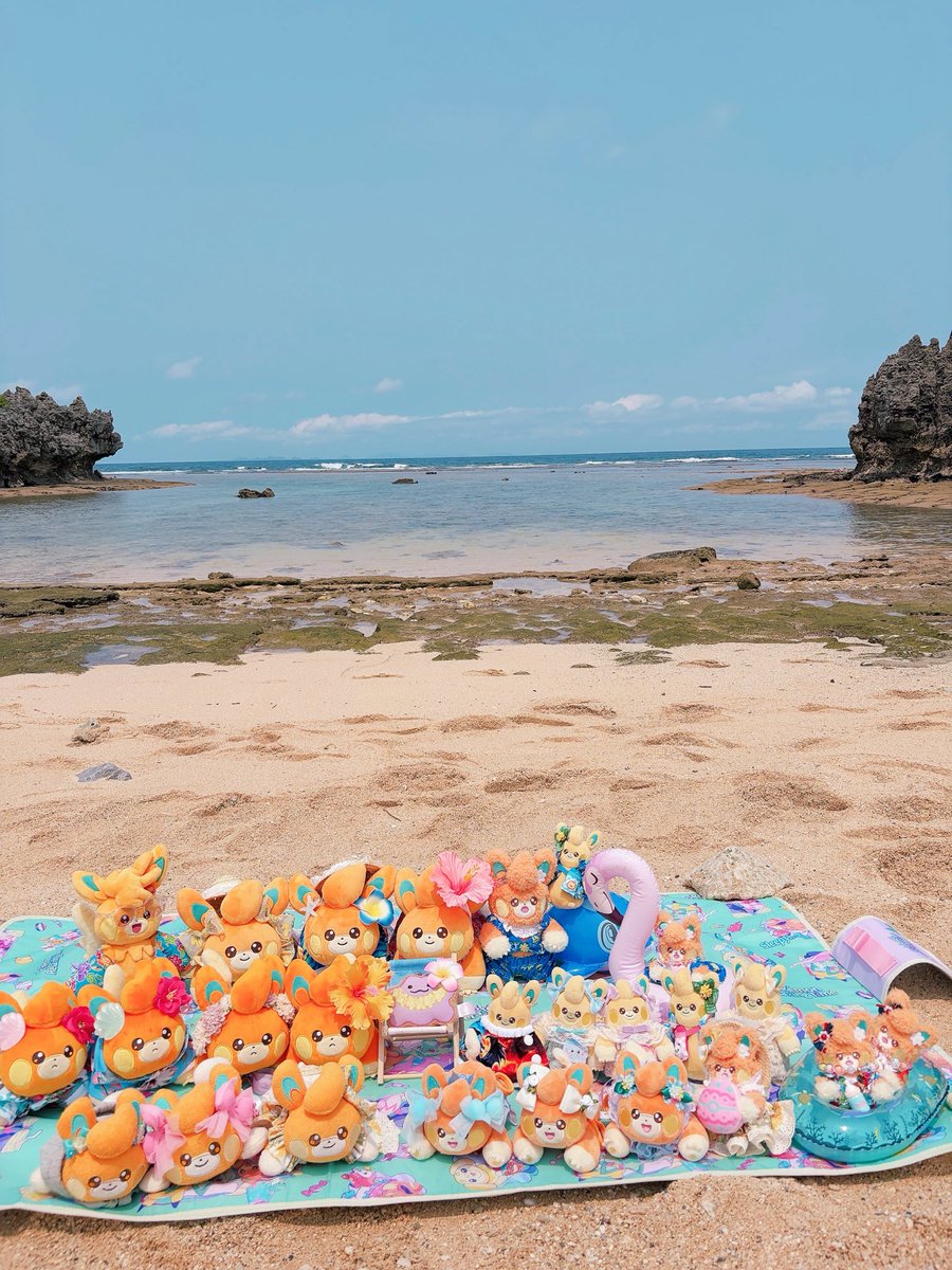 まなぱも tweet media