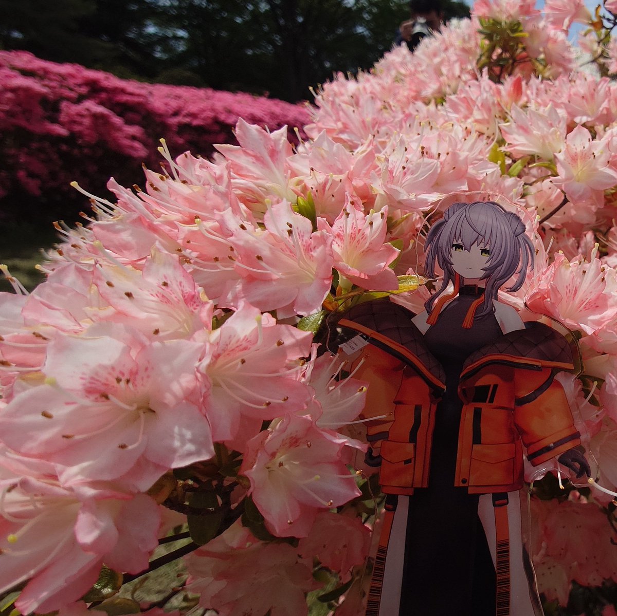 しょこら（schokola38） tweet media