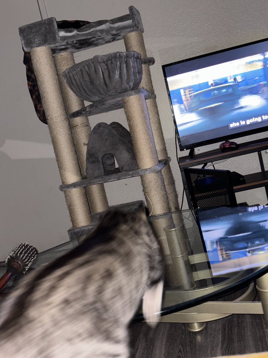 gaythejae's tweet image. forcing my chud son to watch drive with me but he won't sit still long enough to appreciate #cinema