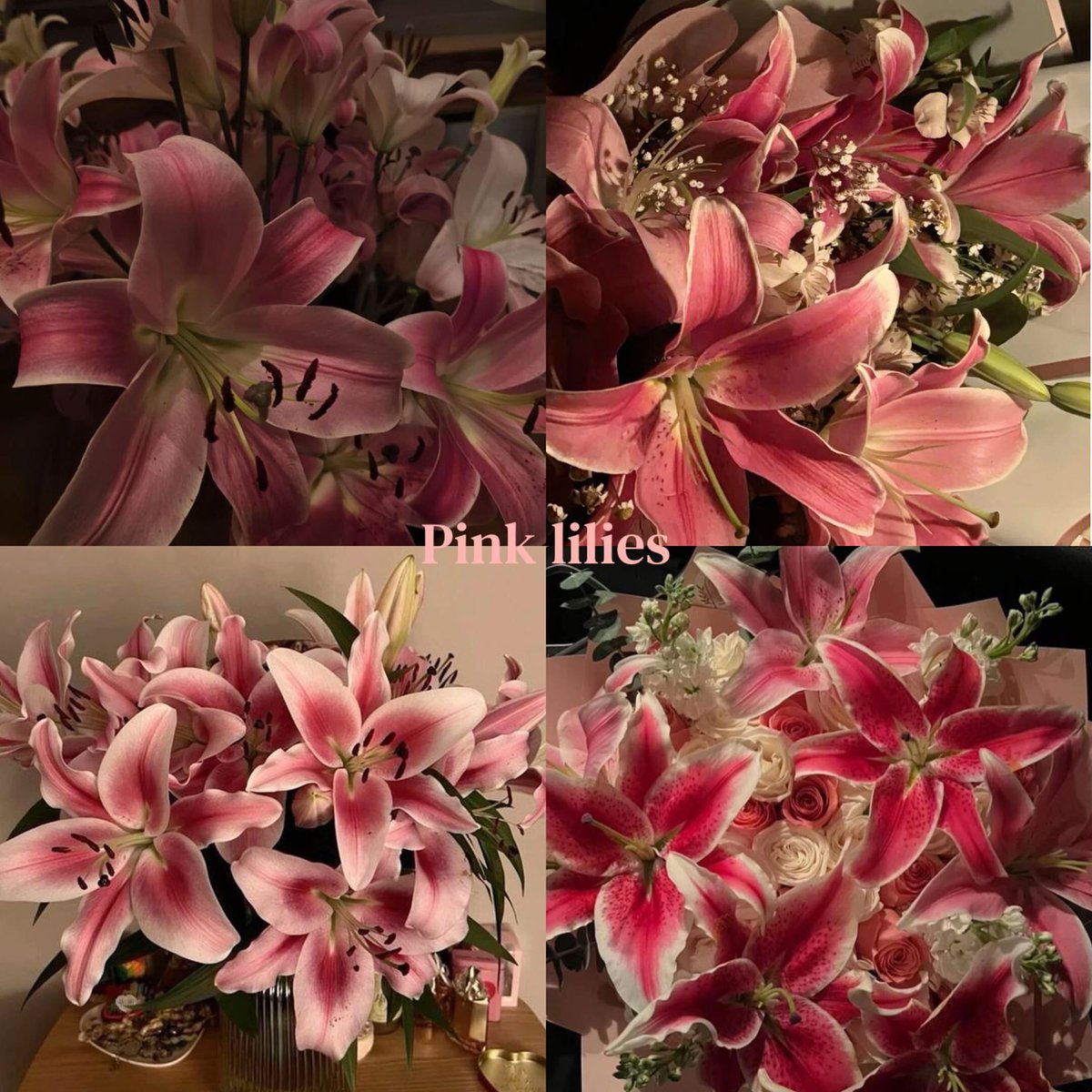 Soft Petals tweet media