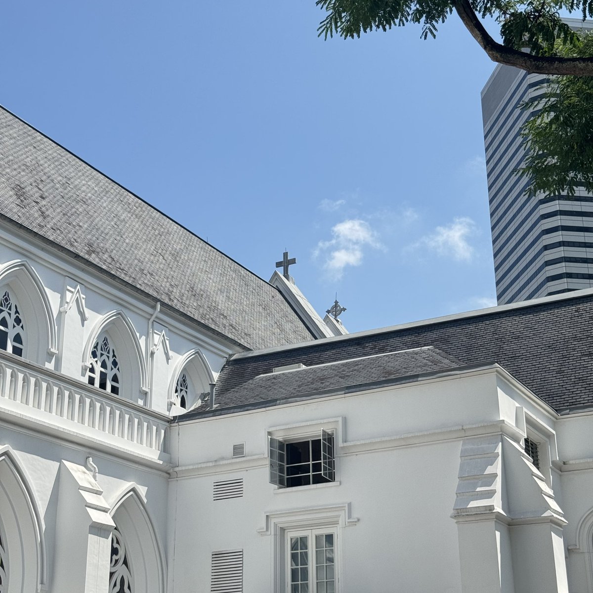 迟到早睡小助手 tweet media