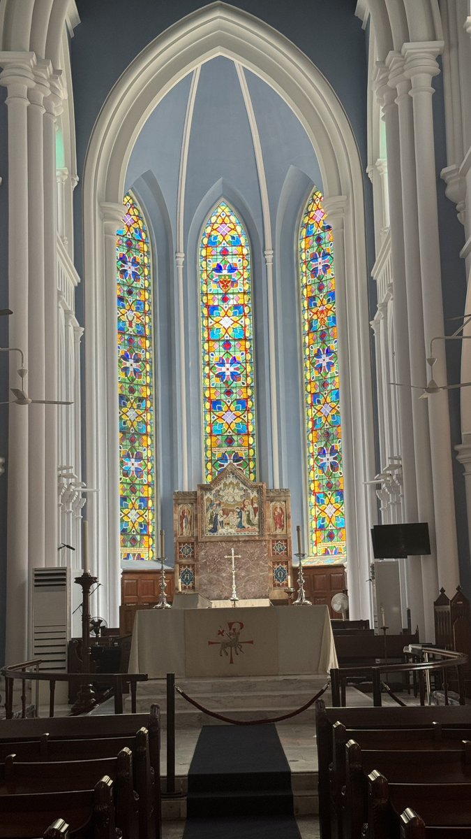 迟到早睡小助手 tweet media