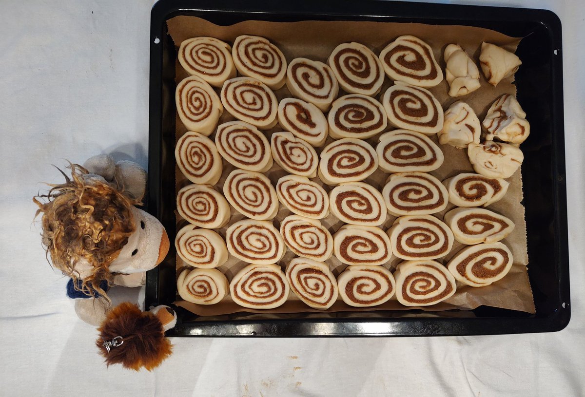 🦁Lasse 🦁 Luis: 
gestreift ist immer gut!

Wir machen Kanelsnegle (Zimtschnecken)