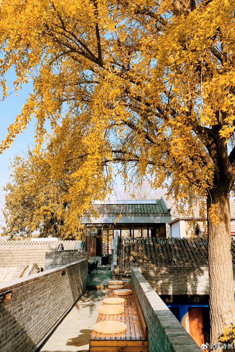 Eric caetano tweet media