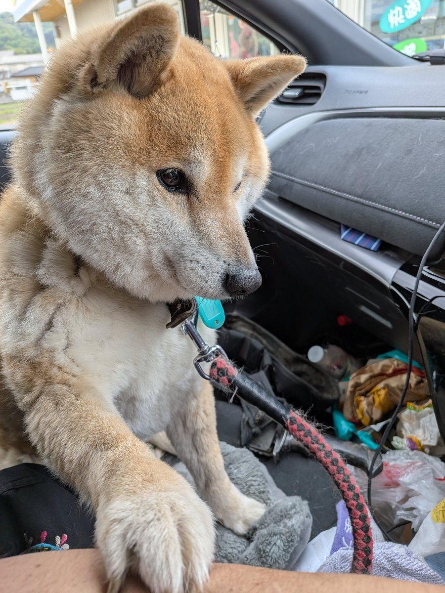 和尚イェニツェリ＠僧職系Vtuber tweet media