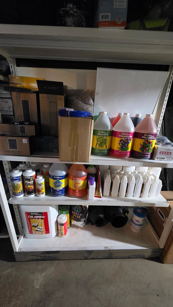 TokesSmokes tweet media