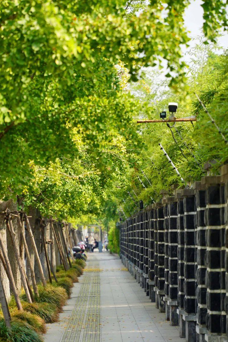 BritishKarate&Kic tweet media