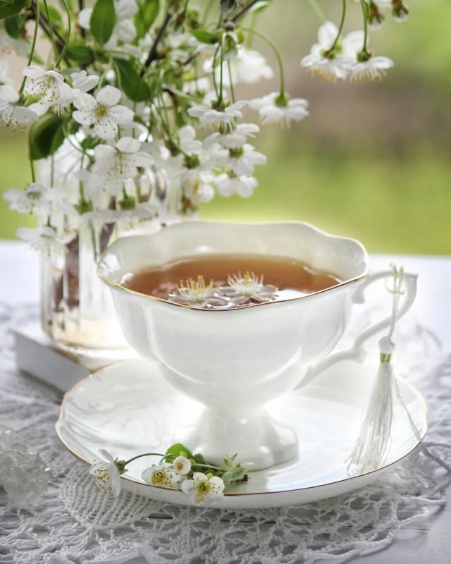 JosetteJ1's tweet image. Agréable samedi les copinous 😘
@CassinDe23
@klingerlydie
@LisaLsalinger
@vivi7244 
@gregos73100
@66Jeafra  
Le café ☕☕☕ arrive un peu tard mais une petite grasse mat, ça fait du bien 😉
Courage les travailleurs Le week-end est là 🙂
 Météo 8°⛅ maxi 15°🌤
#Printemps 🌺