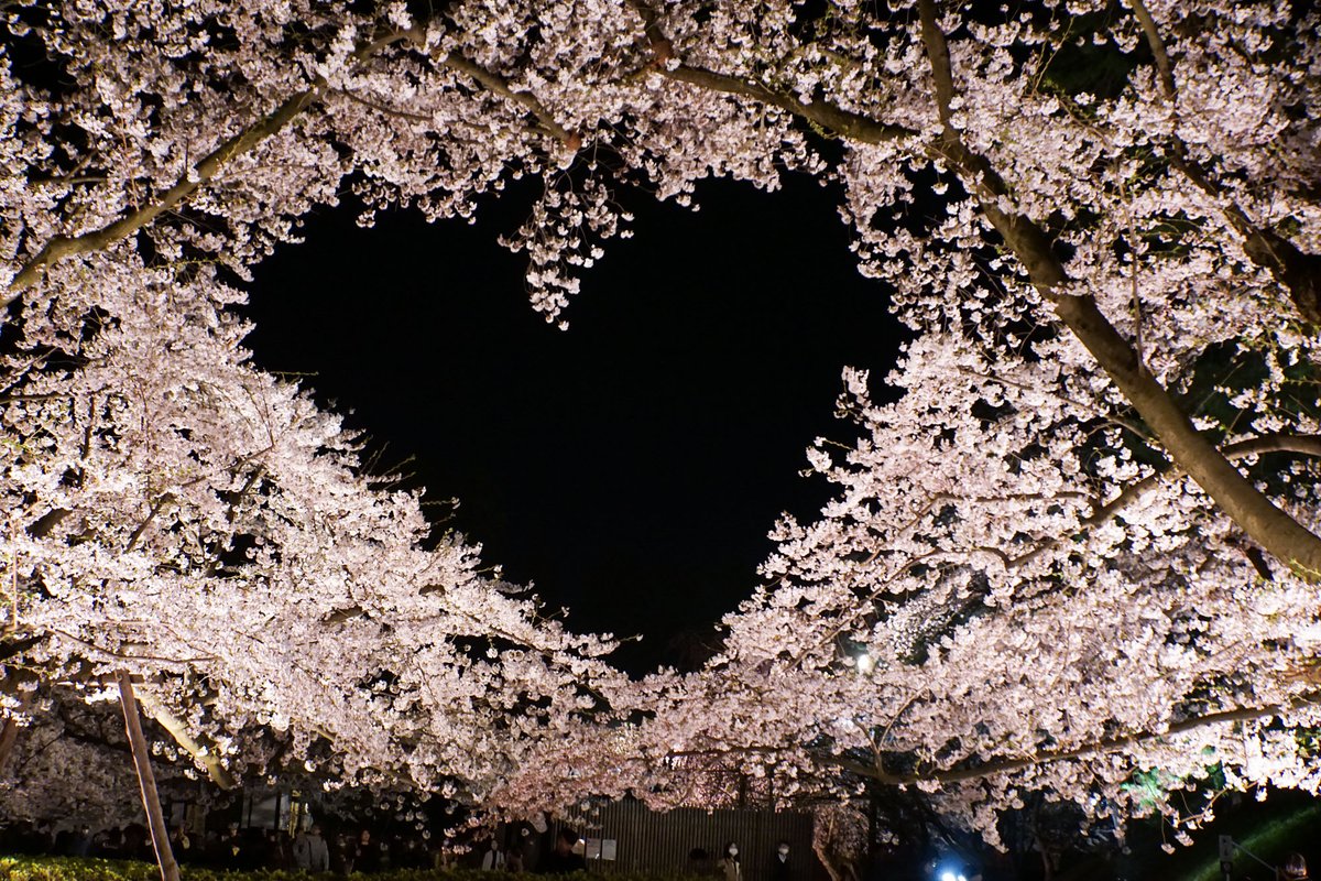 弘前公園 tweet media