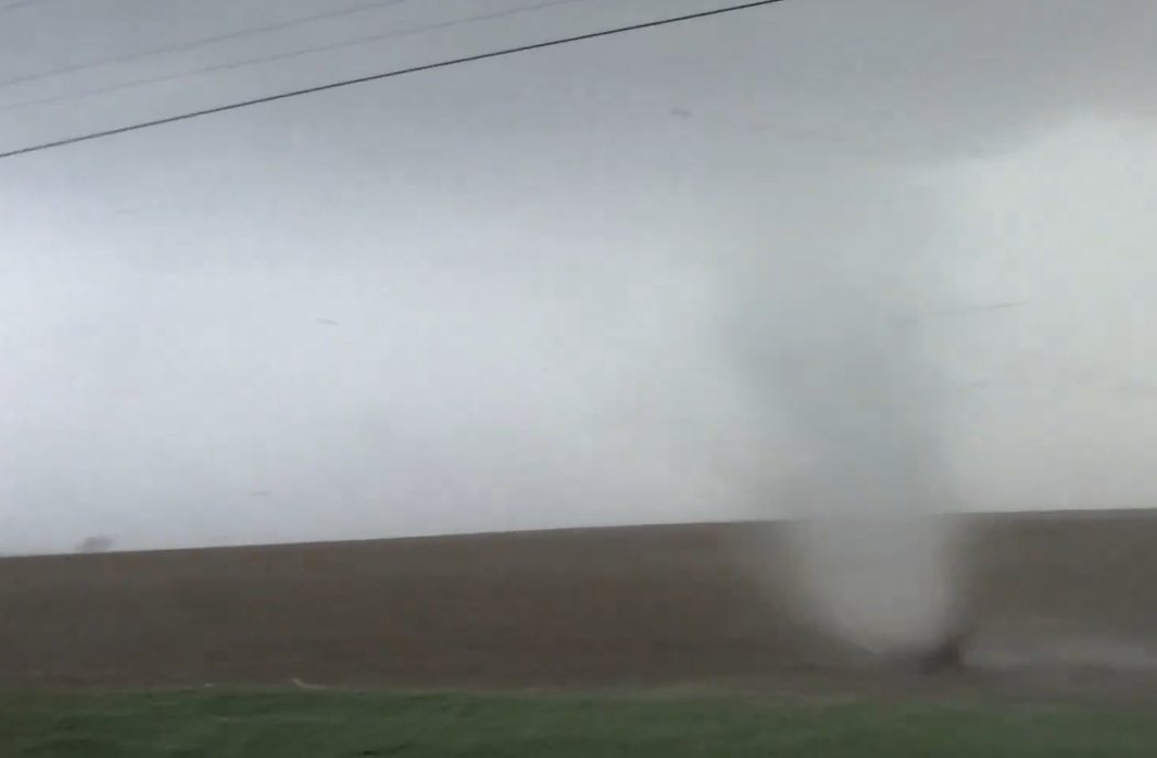 Nick Krasznavolgyi tweet media