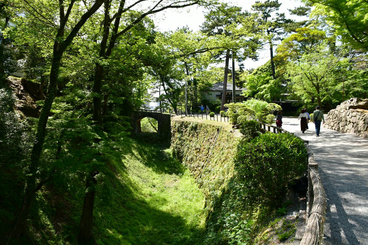 Shichiro tweet media