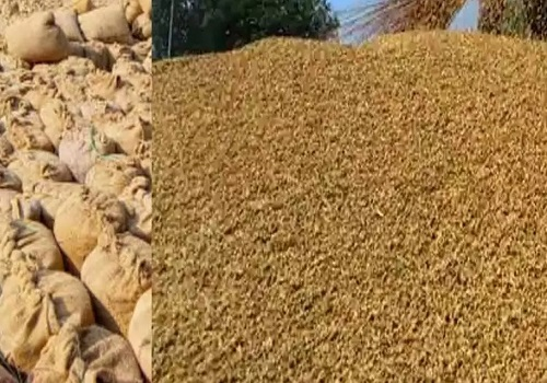 InvGurInd's tweet image. India Wheat Procurement Drops 40% Amid Delayed Madhya Pradesh Buying by Amit Gupta @kediaadvisory  

investmentguruindia.com/newsdetail/ind…

#CommodityTips #ExpertViews #AmitGupta @kediaadvisory  #Investmentguruindia