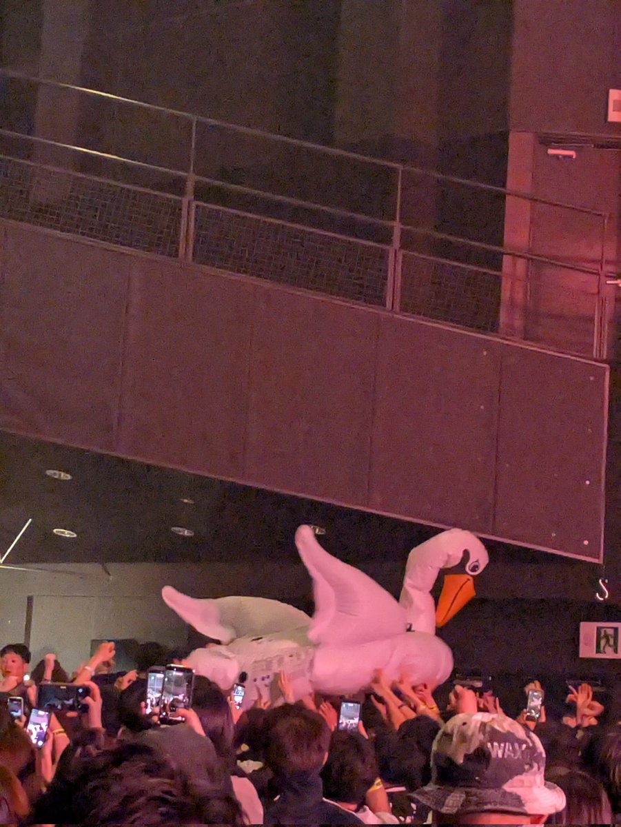 パンダパンダ tweet media