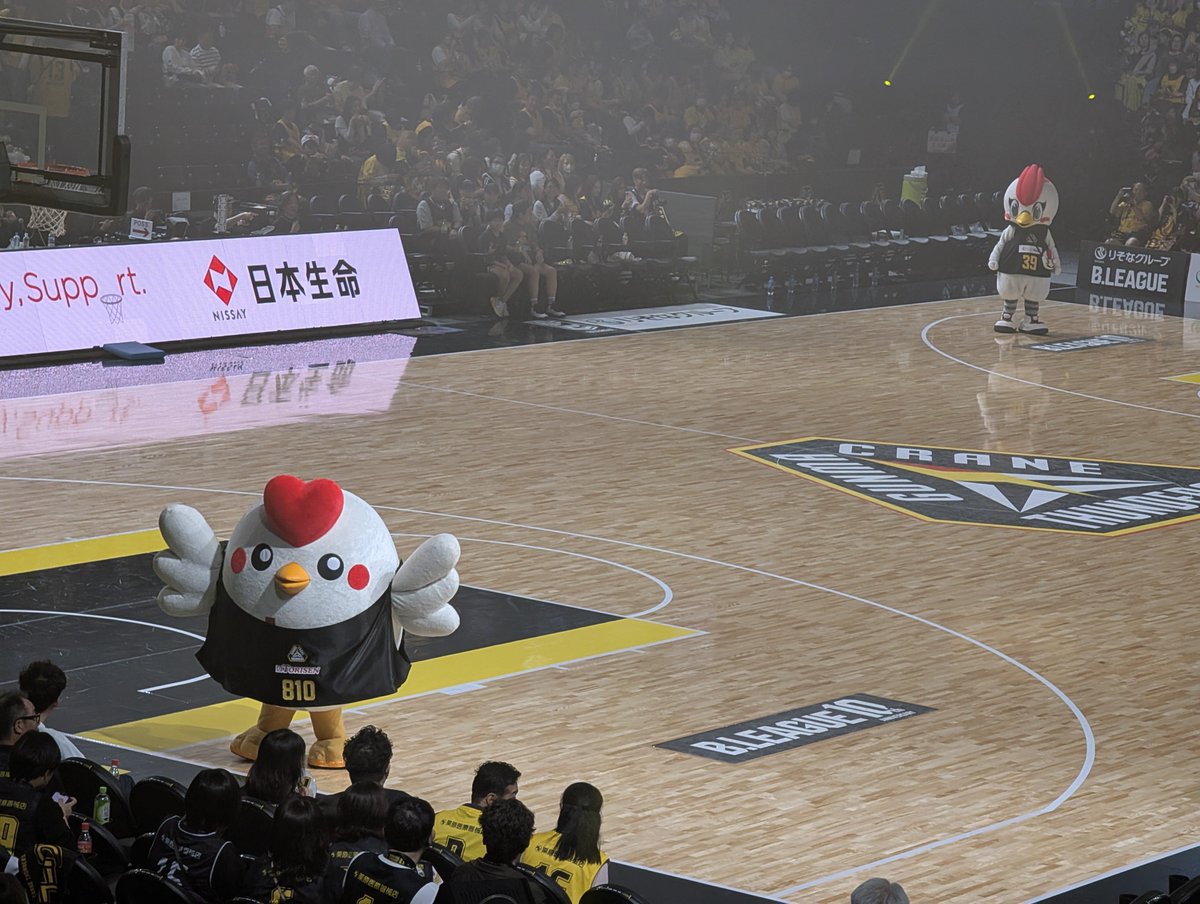 なんかシュールな絵が撮れてしまったw🤣