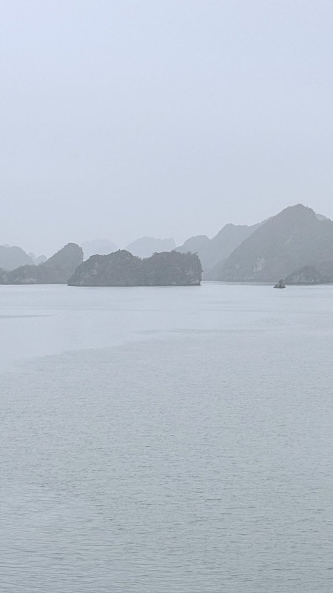 hafelg's tweet image. The missing #Vietnam files, day 24: Exactly one year ago today, we were cruising #HaLongBay. Limestone cliffs, calm water, and that hazy April light. Still thinking about this one 🛥️🌿

#Latergram #AprilMemories #SoutheastAsia