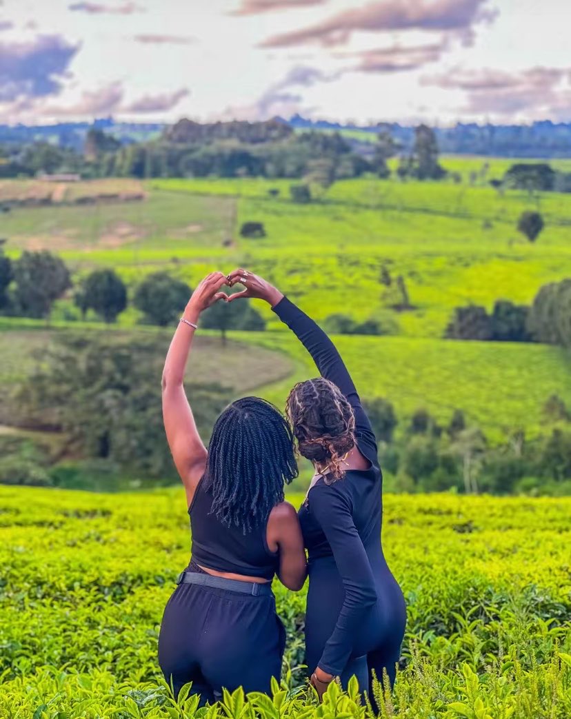 WildCanvas tweet media