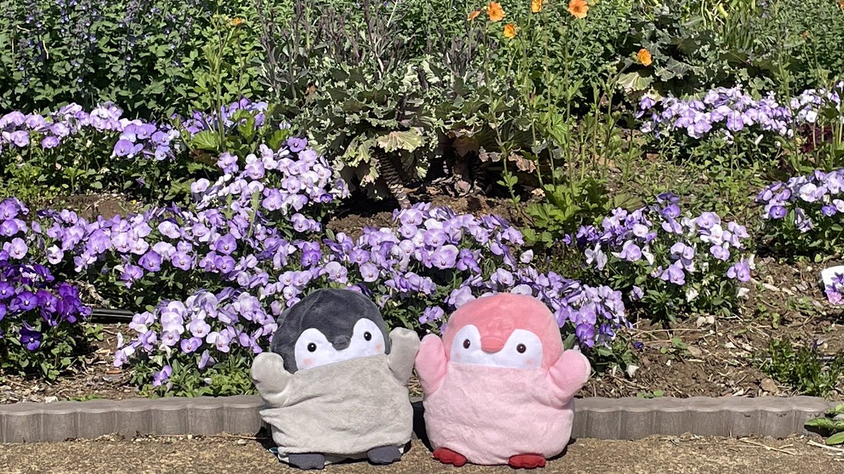 あきにょ tweet media