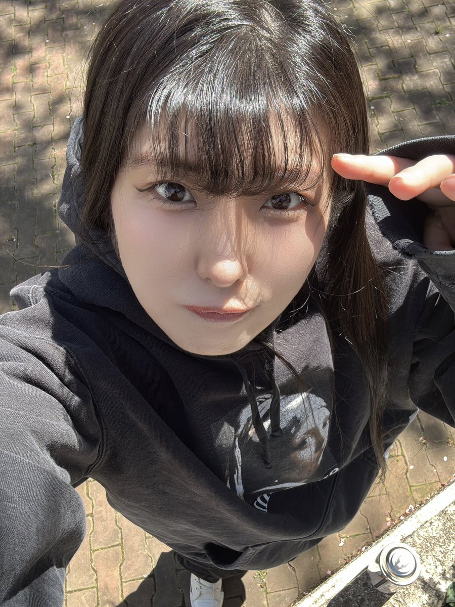東雲れいか🐶 tweet media