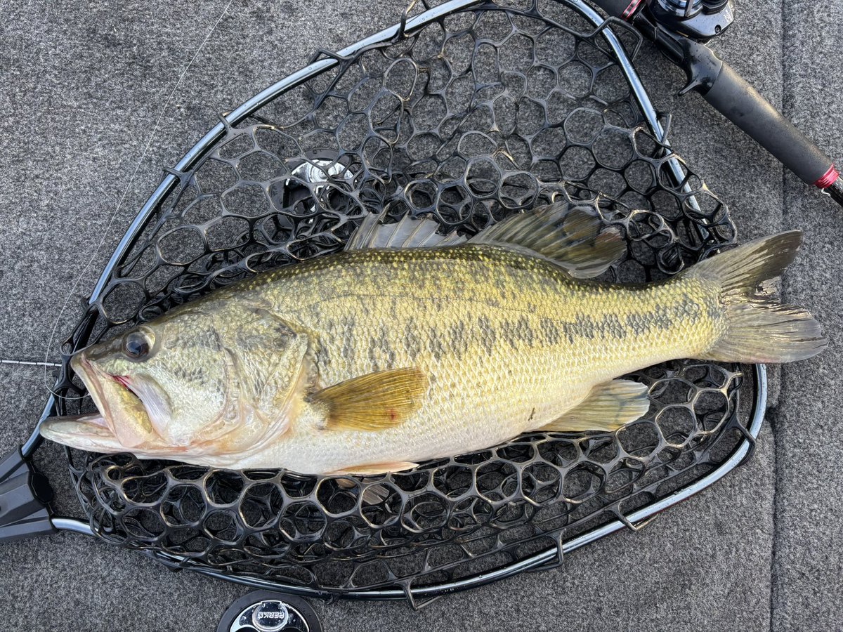 稲吉 良介 tweet media