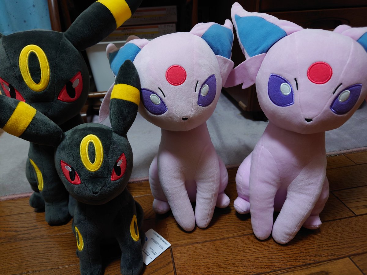 亜希（アキ） tweet media