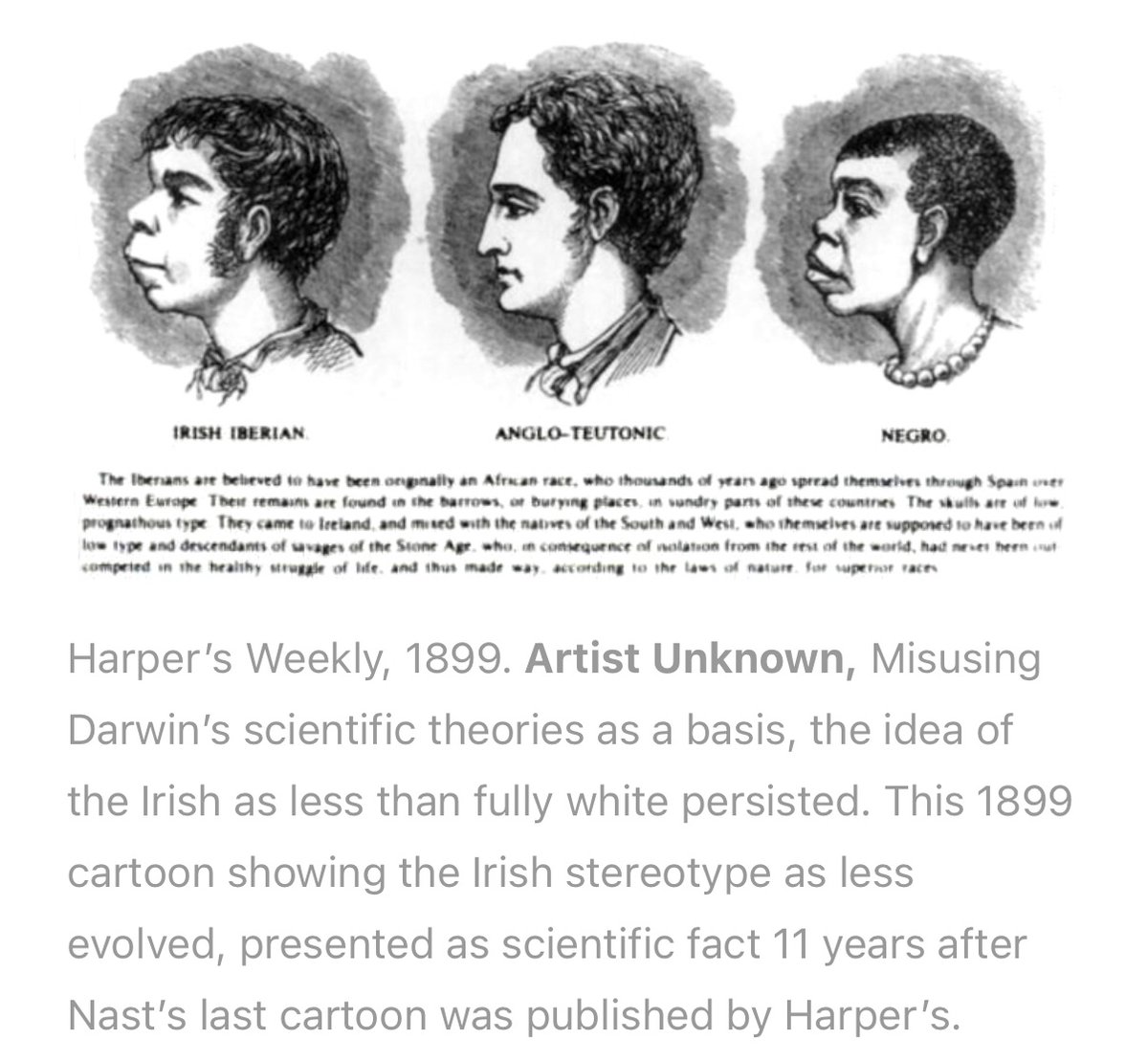 Jack Lantern tweet media