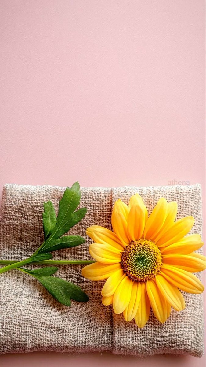 daisygirl29's tweet image. Good Night Everyone
It was a long day.... 🥱🩷💛✨️
Sweet Dreams 🌈
#goodnight
#sweetdreams